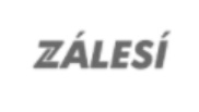 Logo 11
